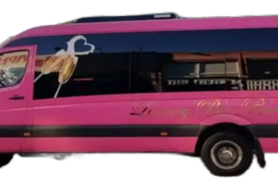 Minibús color rosa con capacidad para 17 personas, ideal para transporte de grupos y eventos femeninos o temáticos.