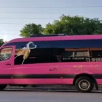 Minibús de color rosa detenido en el exterior, visto desde un lateral