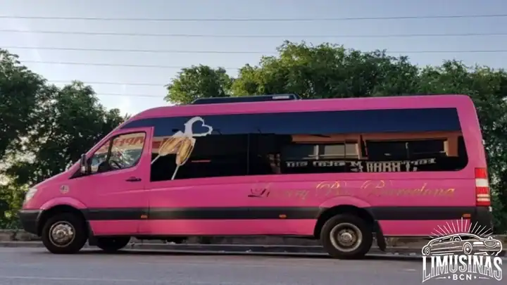 Minibús de color rosa detenido en el exterior, visto desde un lateral