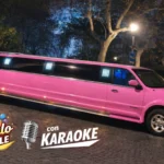 limusina rosa grande 12 plazas